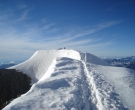 Picture 148_1